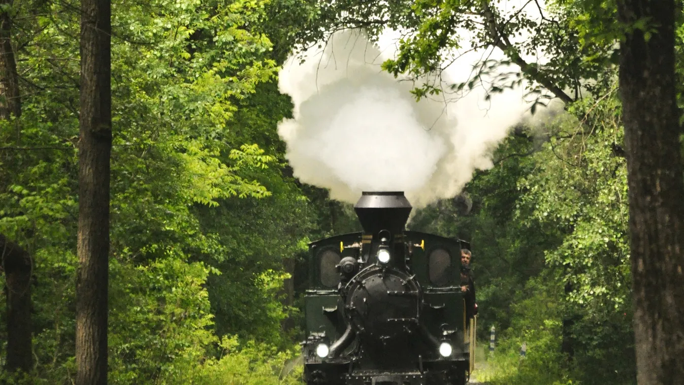 Az erdei vasutat ünneplik a hétvégén a Gemencen