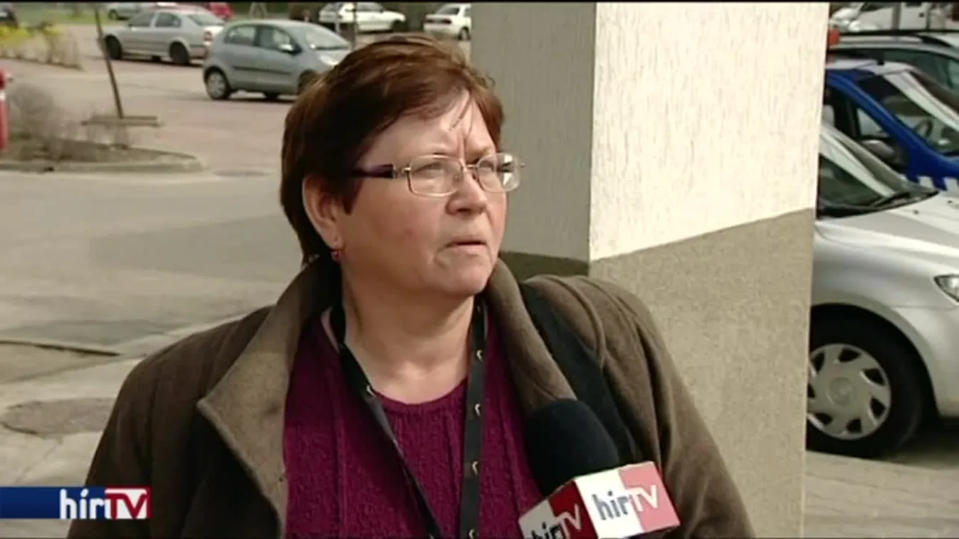 Pest megye 11. számú választókerülete