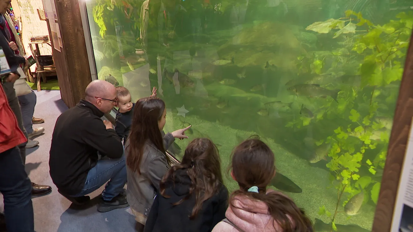 Kovács Zoltán: Elképesztő húsz nap volt