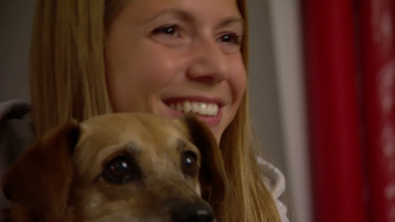 Radar - Négylábúak rivaldafényben