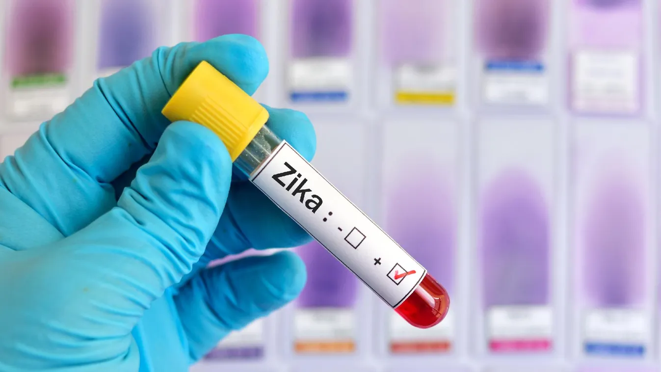 Két, Thaiföldön járt embernél igazoltak Zika-vírus-fertőzést