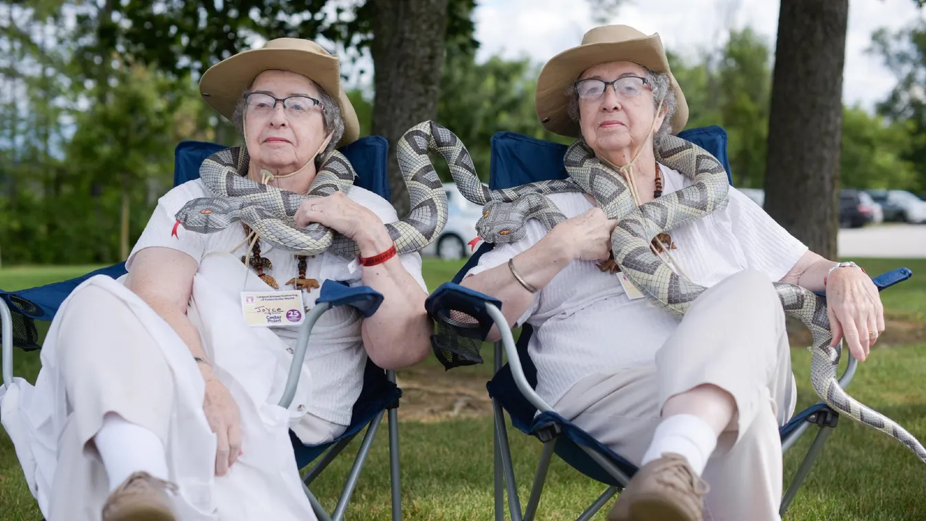 Ikerfesztivál: a génkutatók aranybányája