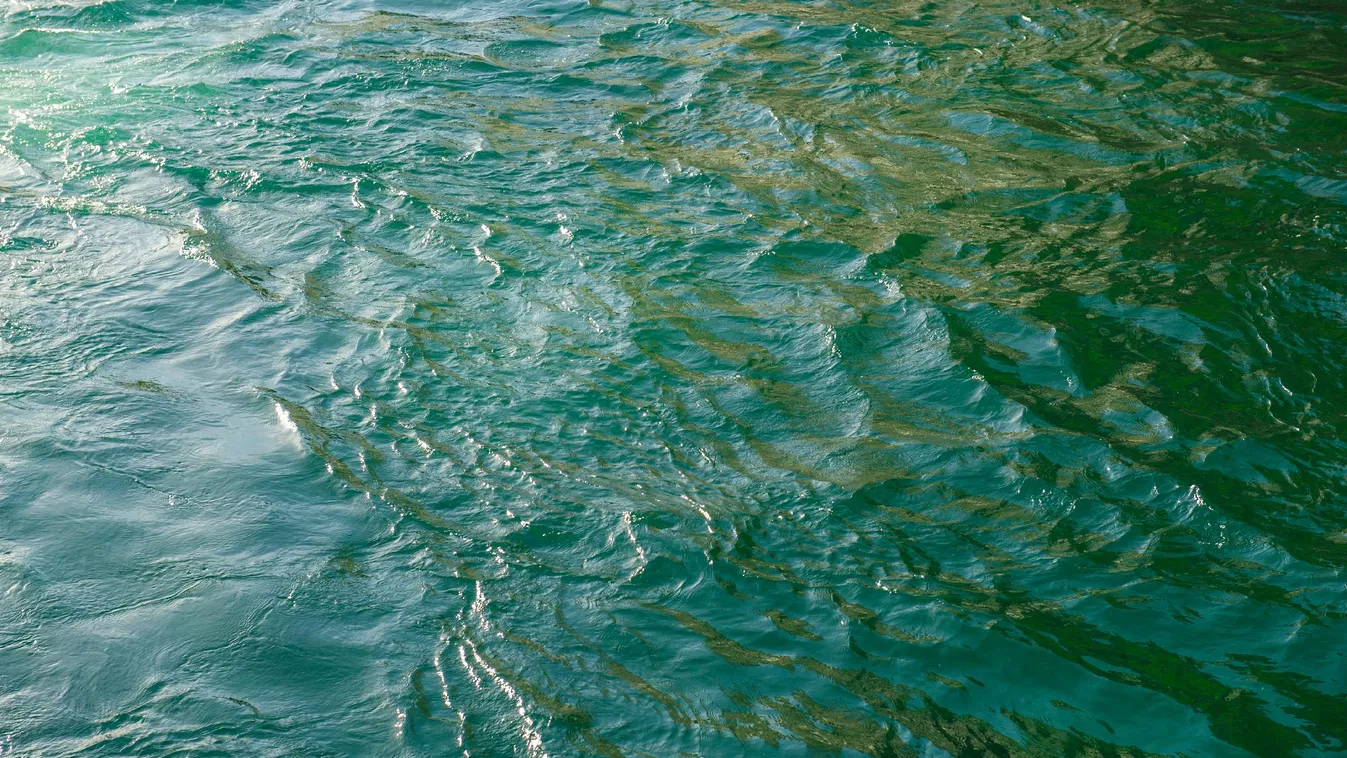 Autót találtak a Dunában Vácnál