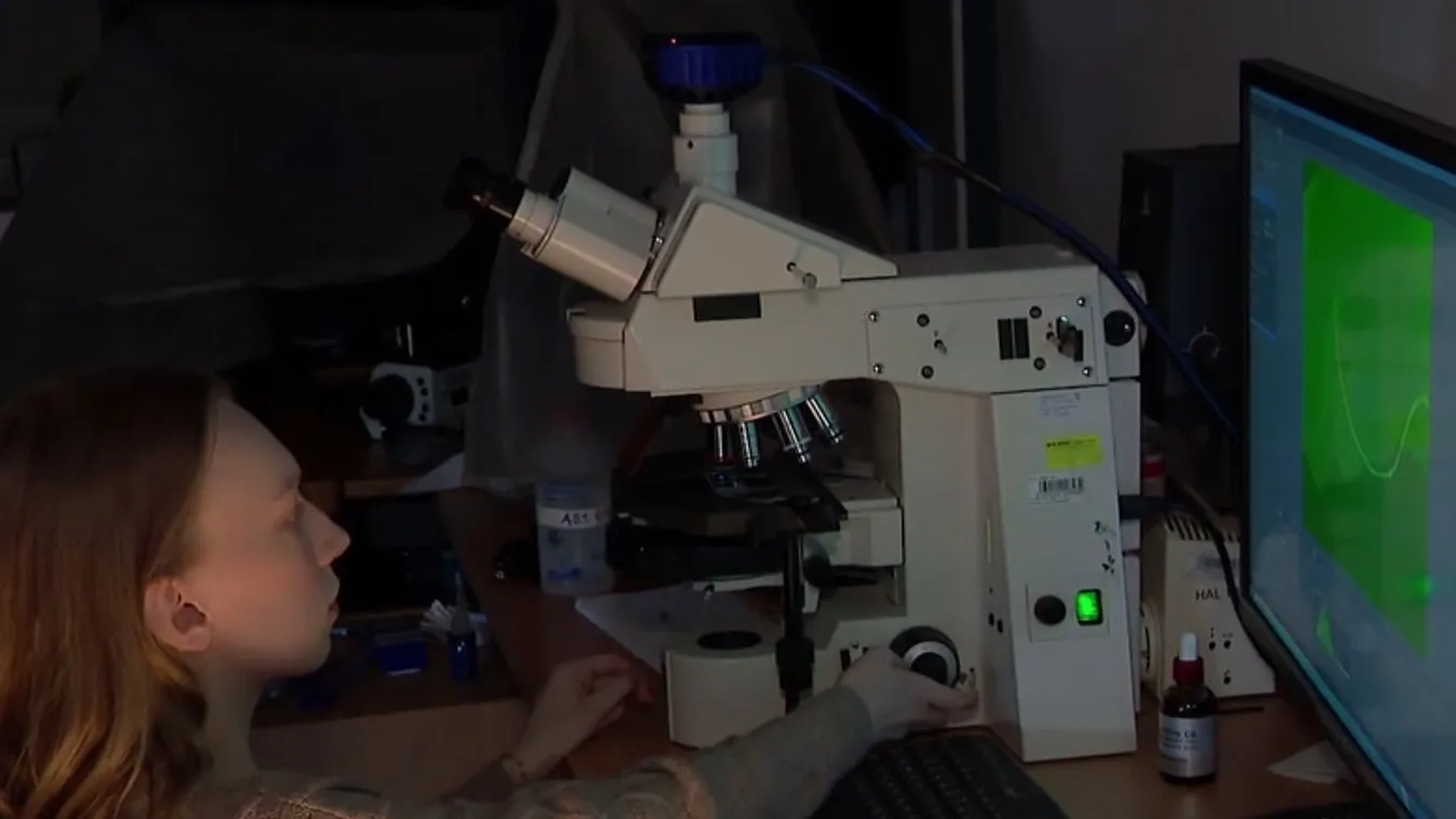 Radar – Újabb sikerek az agykutatásban + videó