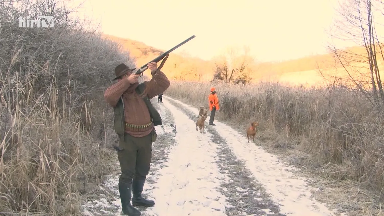 Soroló: Szaporítás és vadászat