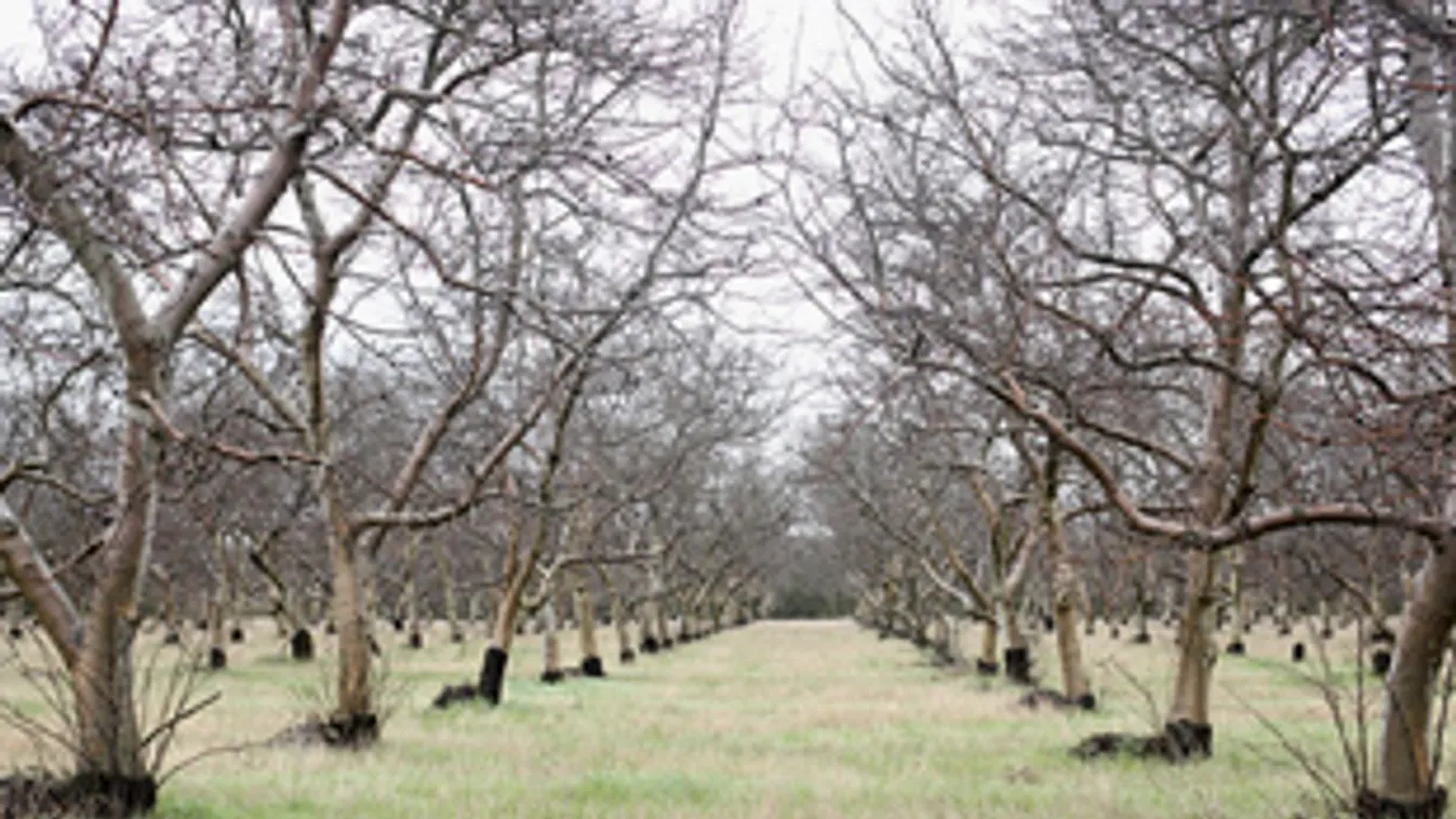 A homokon nem sok haszonnal kecsegtet – Soroló