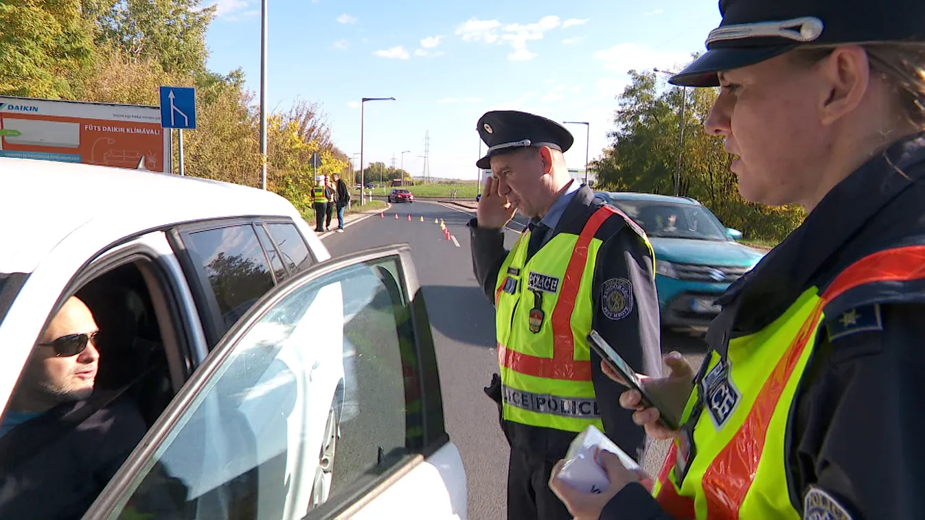 Egyre több a vadgázolás a hazai utakon