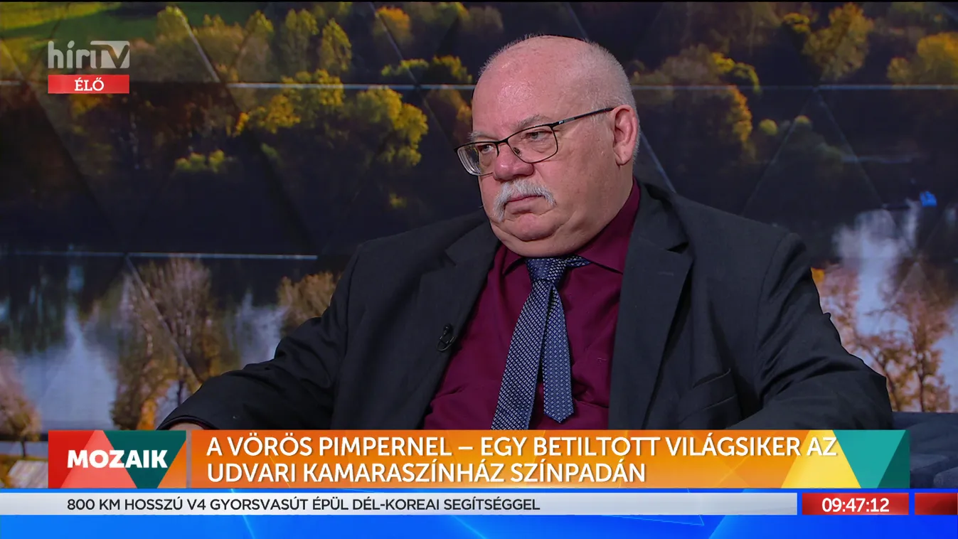 Mozaik: A vörös Pimpernel