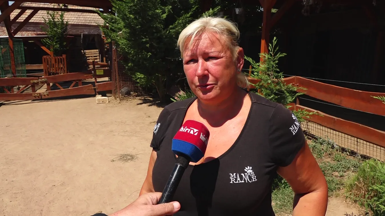 Az állatokat is megviseli a hőség