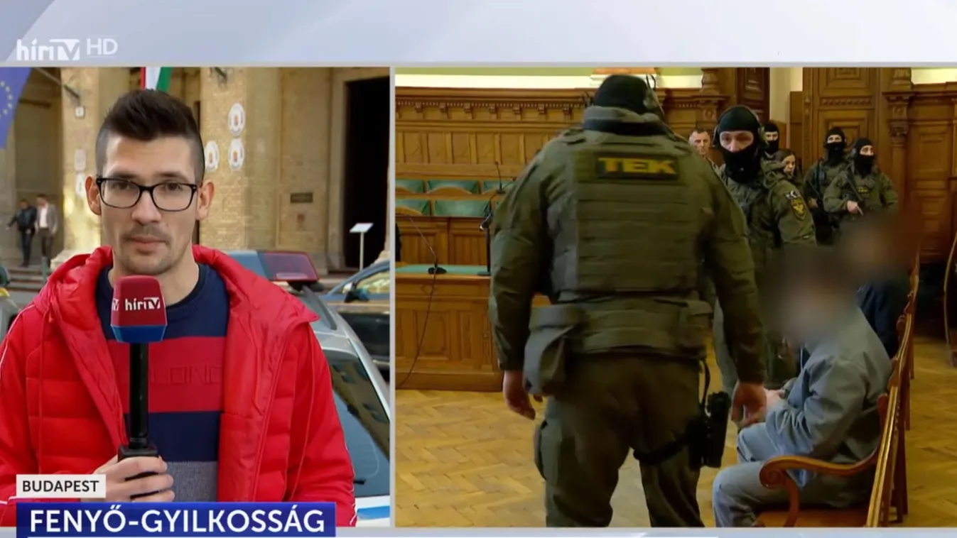 Fenyő-gyilkosság: Gyárfás Tamást hét év fegyházra, Portik Tamást életfogytiglanra ítélték + videó