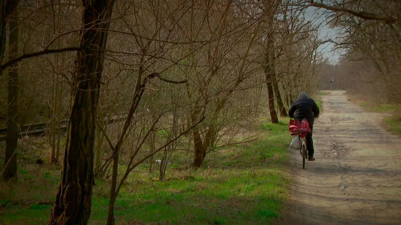Budapesti srácok: Karácsonyék lesöpörték, de mégis lesz zöldfejlesztés Dél-Pesten