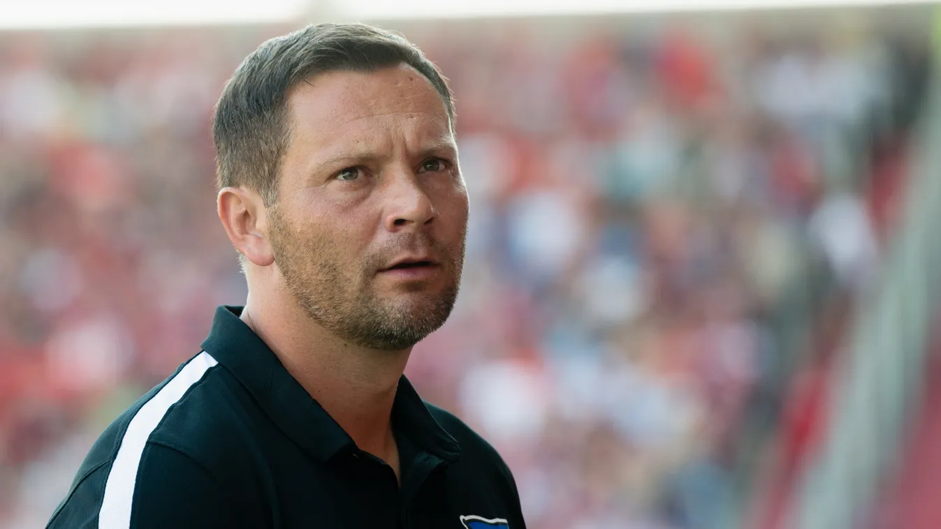 Megszólalt Dárdai Pál Petry menesztéséről