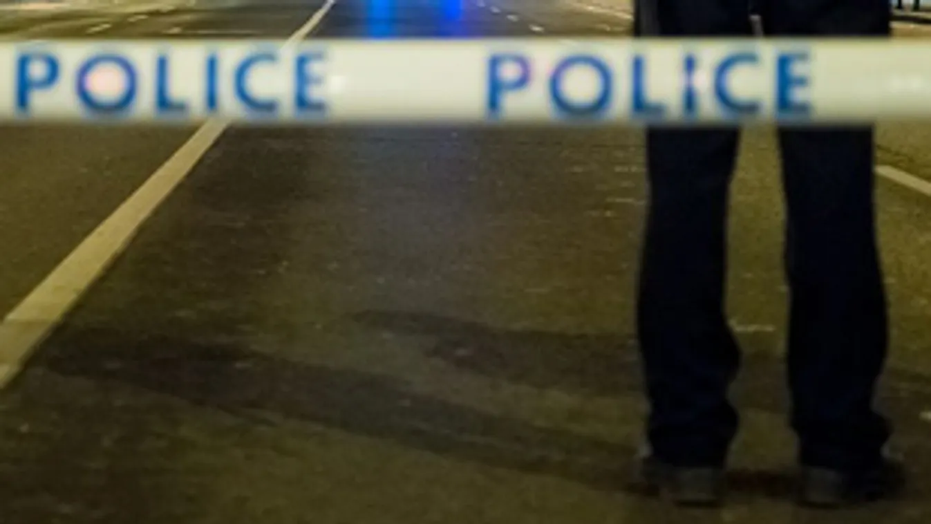 Nem élte túl a gyalogos