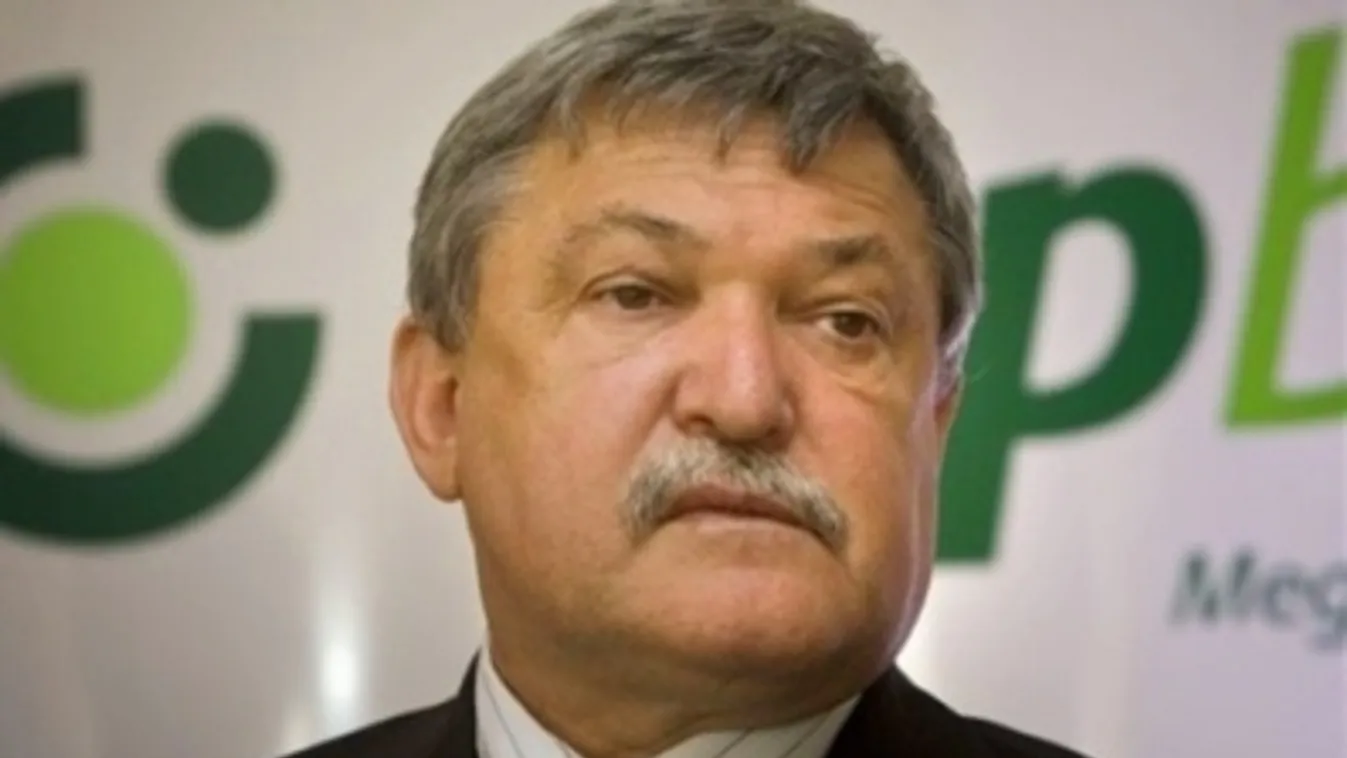 Csányi Sándor: a kormány és a jegybank jól kezelte a válságot