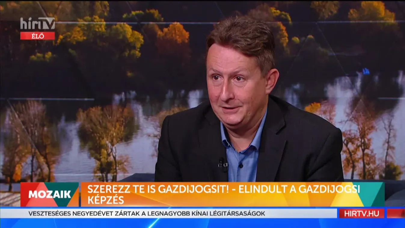 Mozaik: Szerezz te is gazdijogsit!