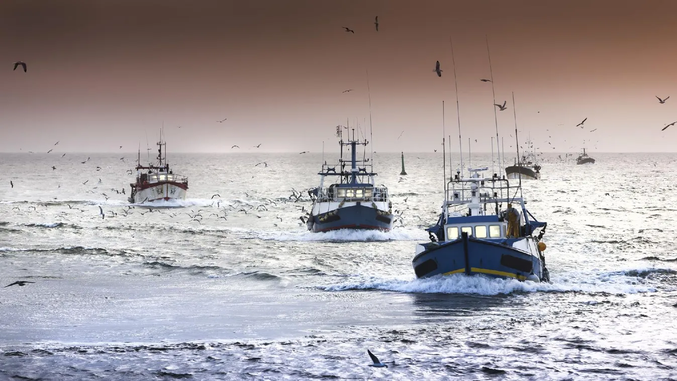 Ismét fellángolt a halászati vita London és Párizs között