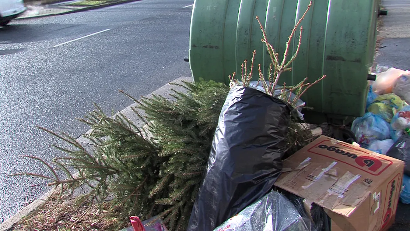 Elindult a budapesti fenyőjárat