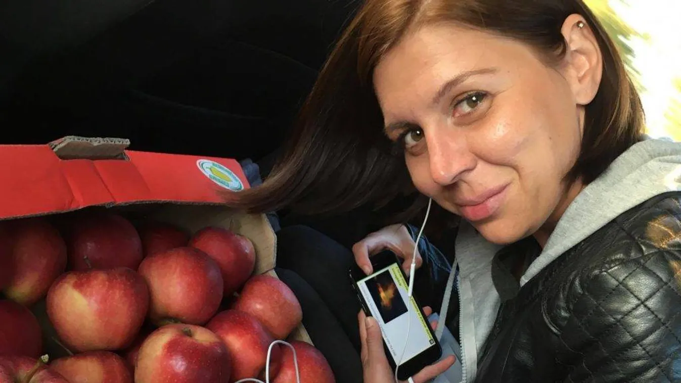 A Hír TV újságírója felrajzolta Mészáros Lőrinc teljes birodalmát