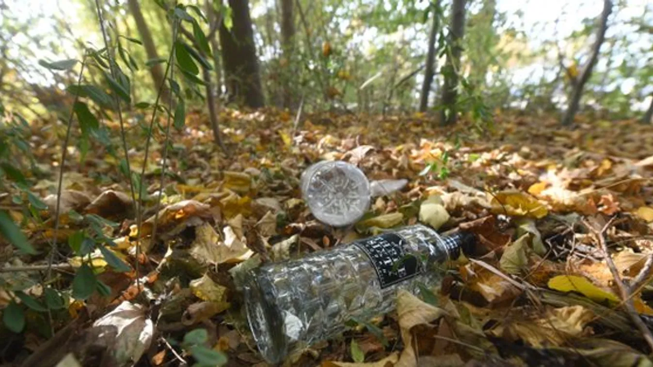 Szíriai menekültek erőszakoltak meg egy 18 éves német lányt