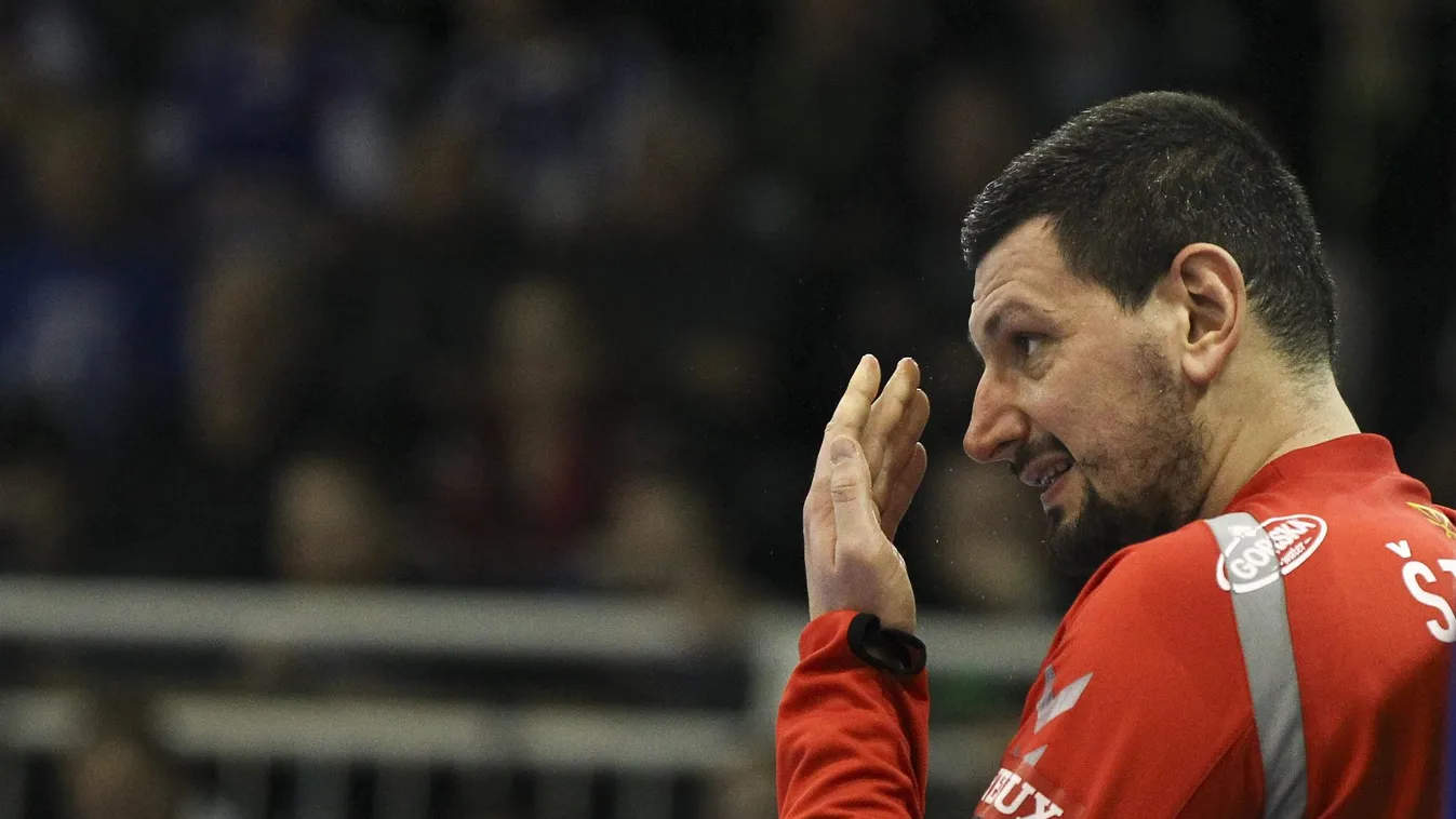 Sterbik Árpád visszatér a Telekom Veszprémbe