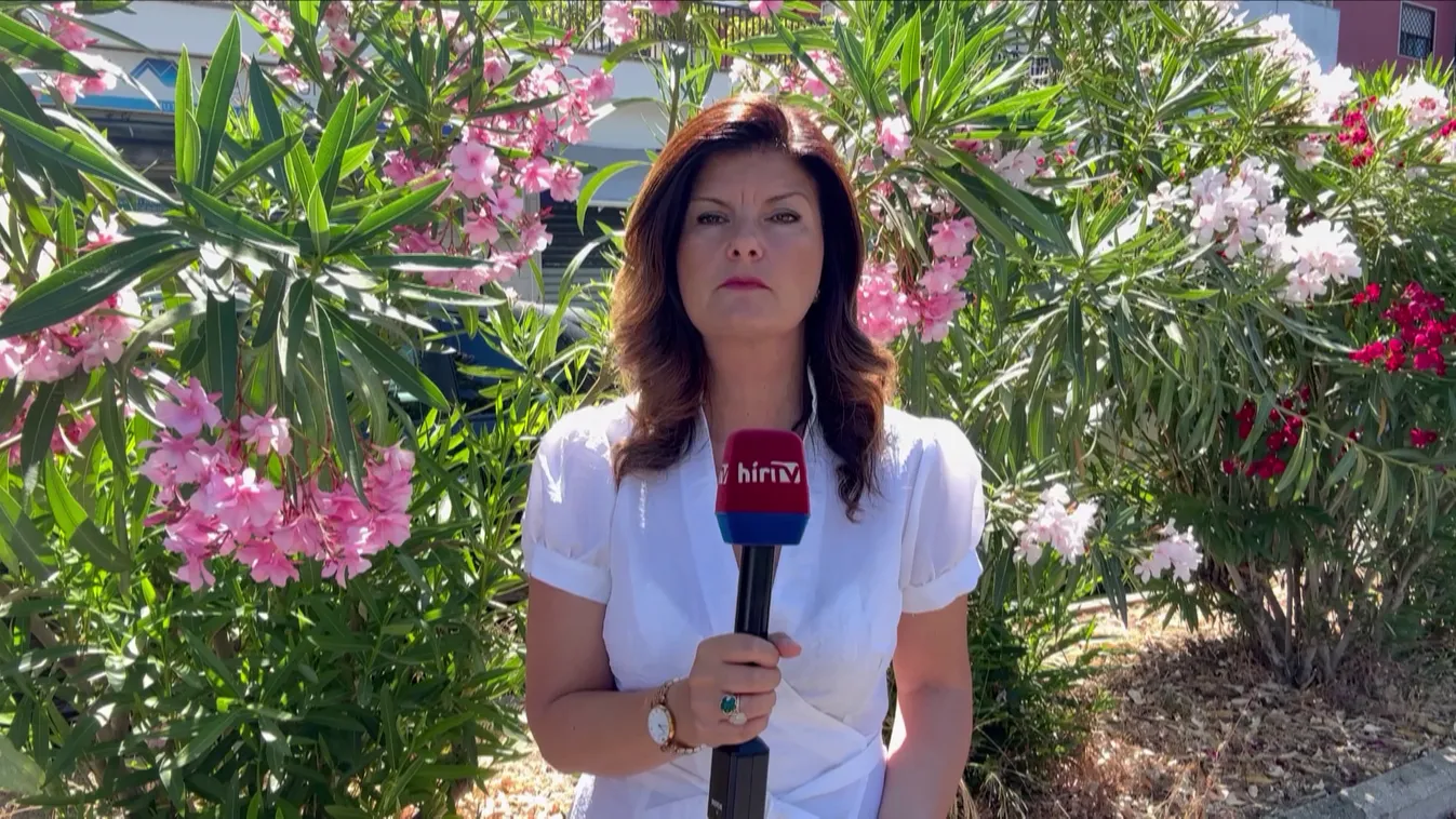 Nem vett részt a párt rendezvényén Ilaria Salis + videó