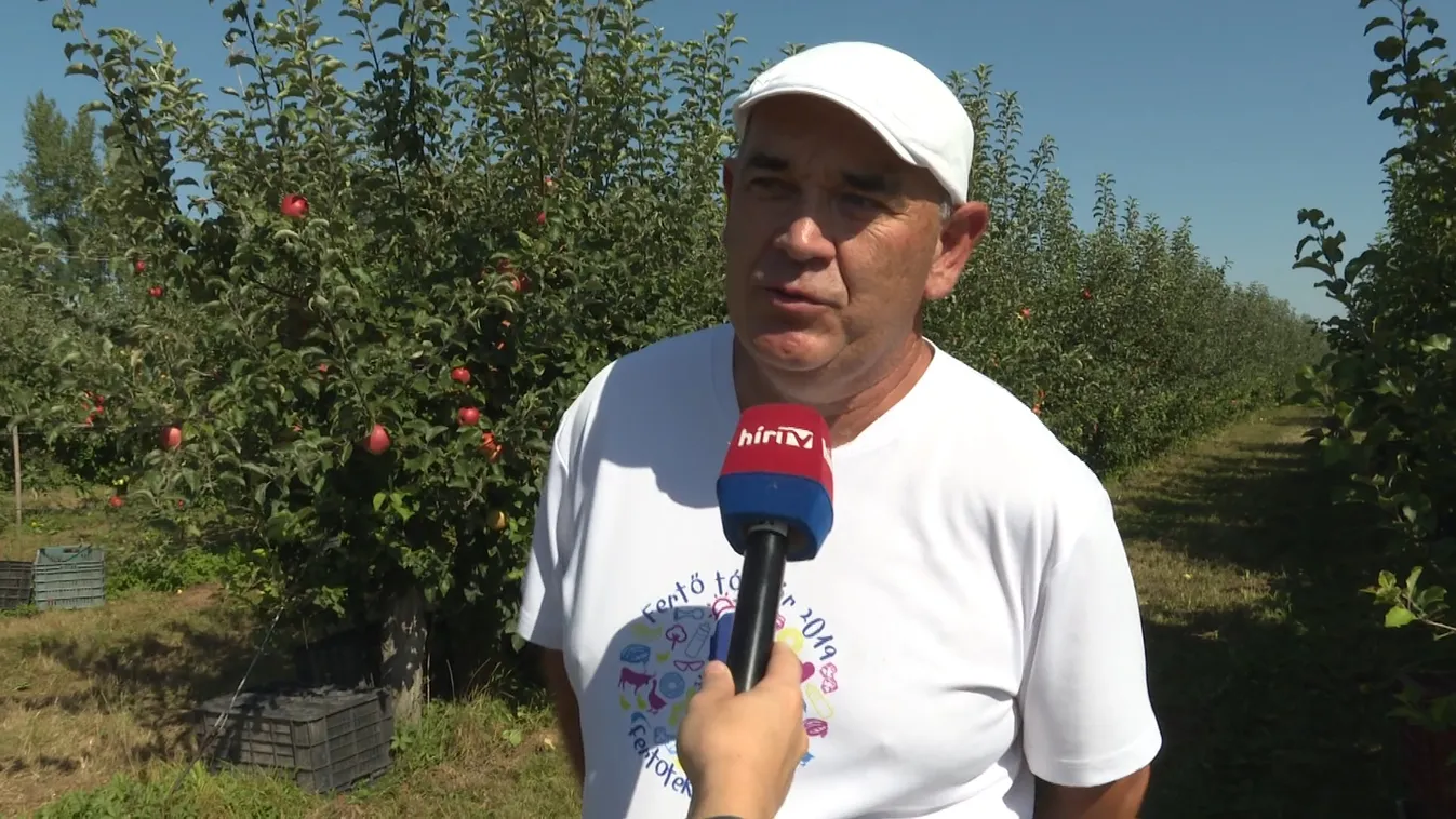 Napindító – Drágább lesz idén az alma