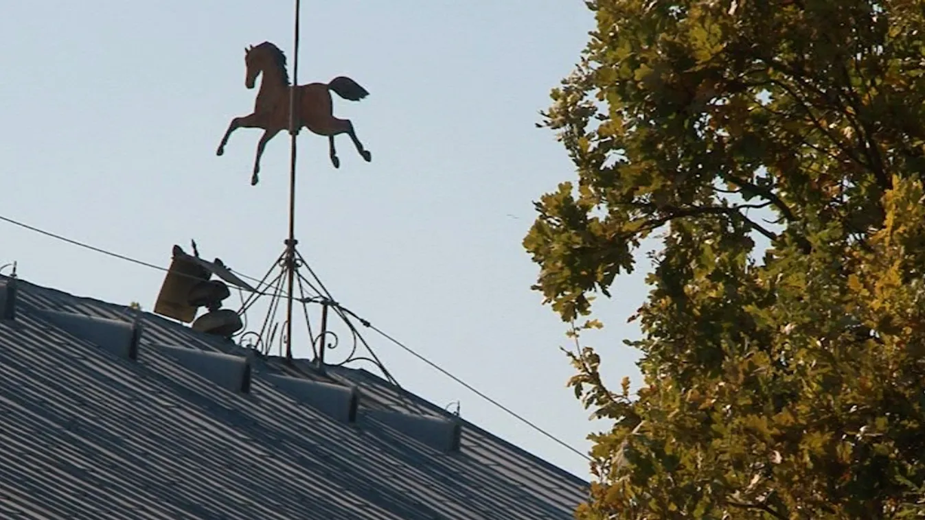 „Rejtély, mi történt abban a néhány hétben”