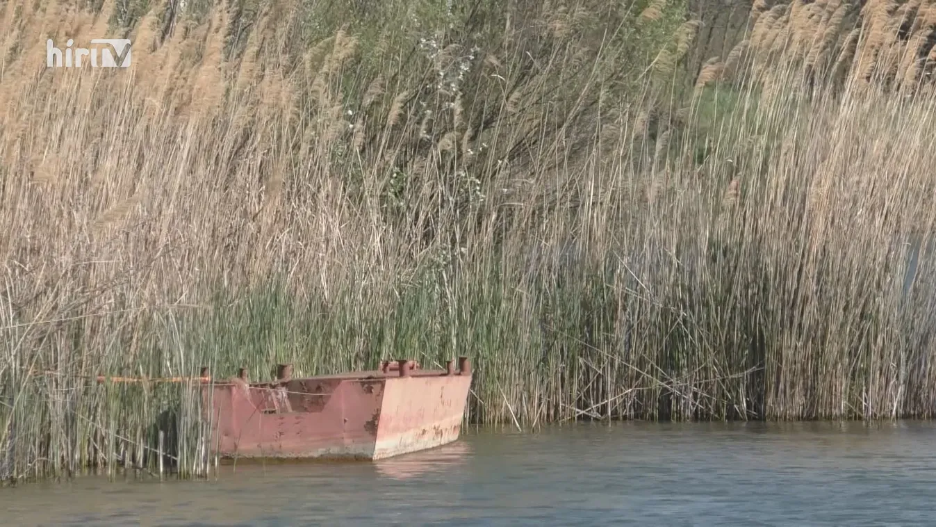 Éjszaka is lehet horgászni védettségi igazolvánnyal