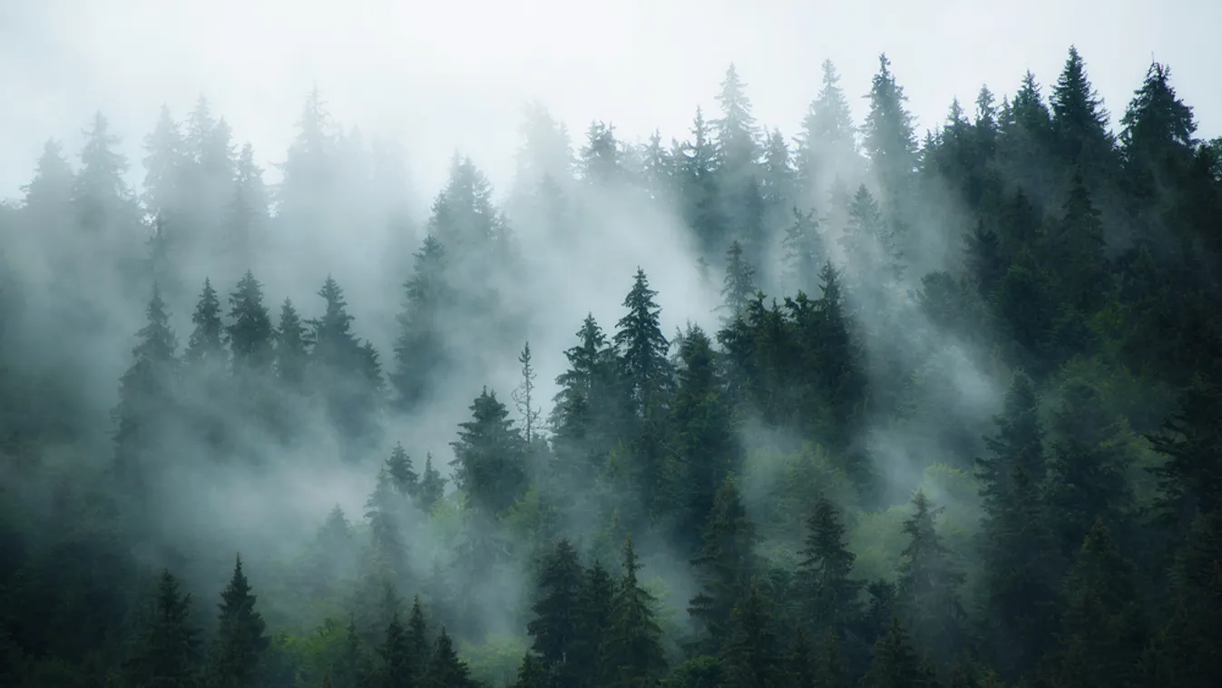 Megható videó arról, hogy rátalálnak a Sas-hegyen eltűnt kétéves kisfiúra