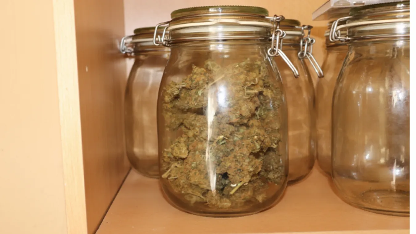 Cukorka helyett extasy, fűszer helyett kannabisz