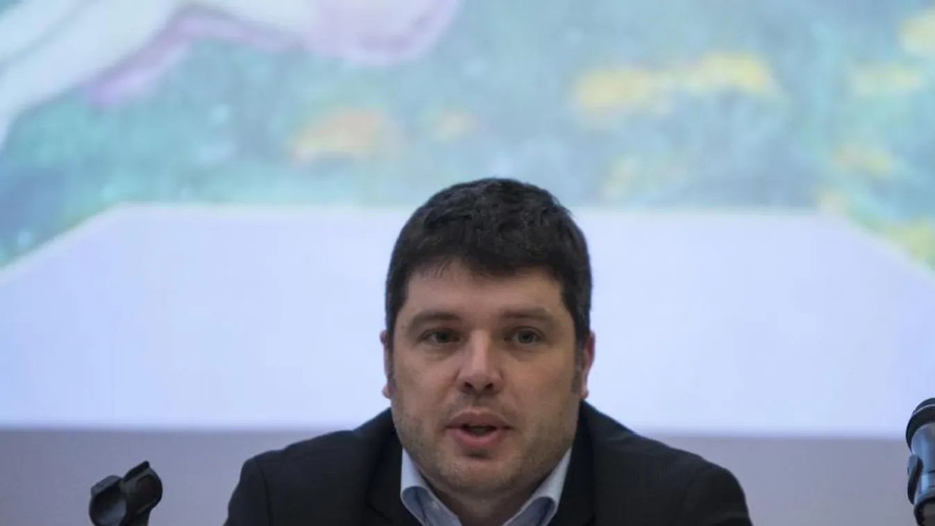 Mészáros Lőrinc másokat is magával ránt