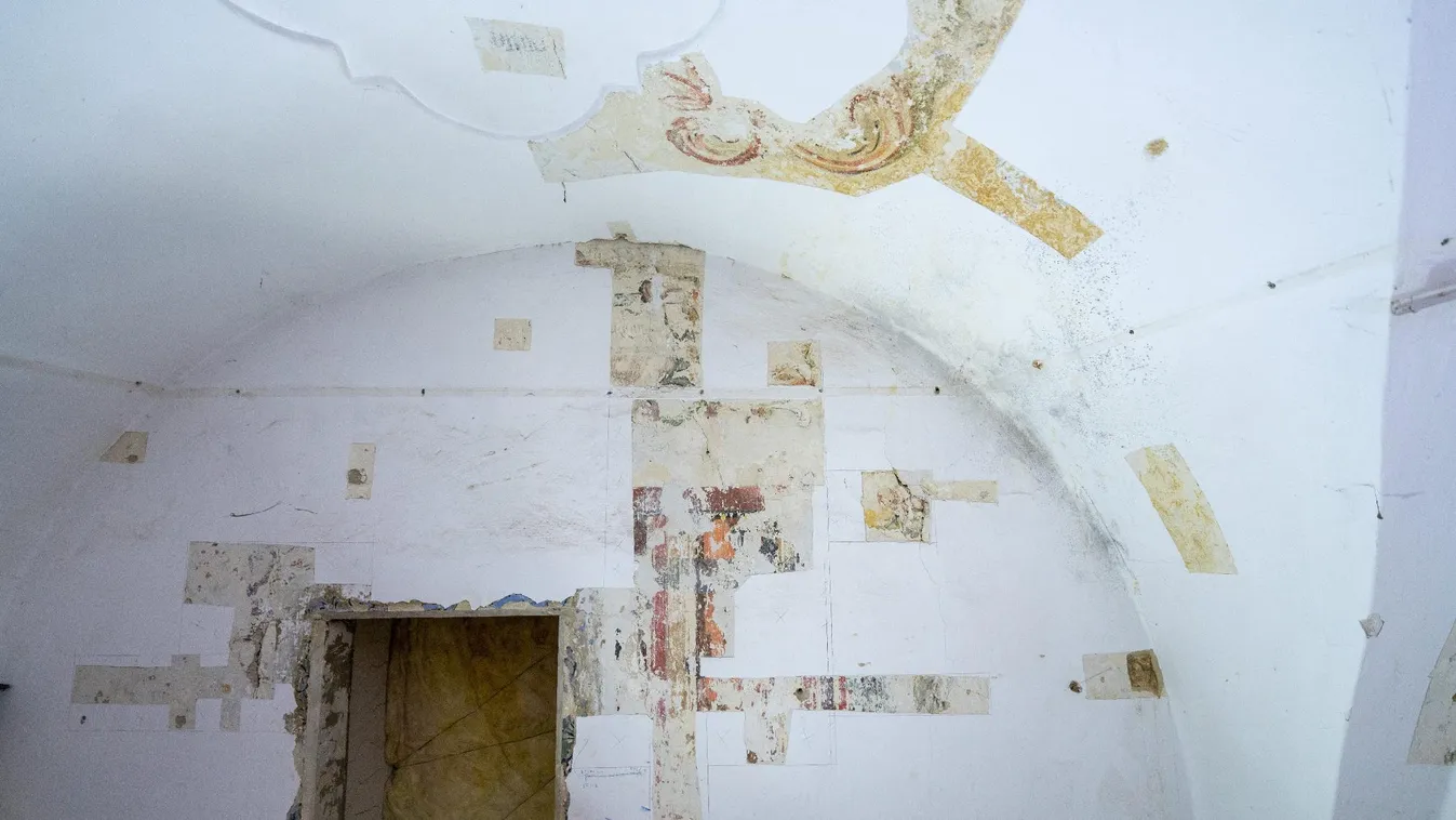 Reneszánsz falképeket találtak a kutatók Kolozsváron