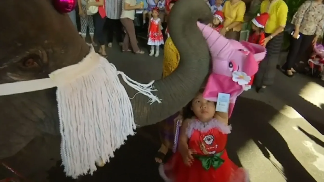 Szán helyett elefántonháton érkezett a Mikulás