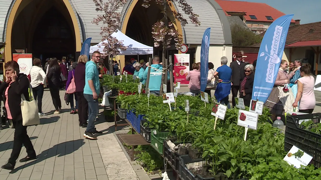 Első alkalommal rendeztek palántafesztivált Zalaegerszegen