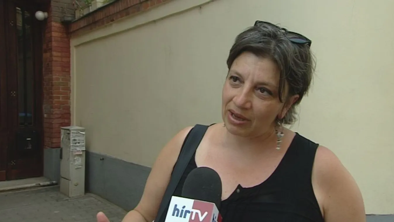 Tüntetéssel kérik Áder vétóját a tanárok