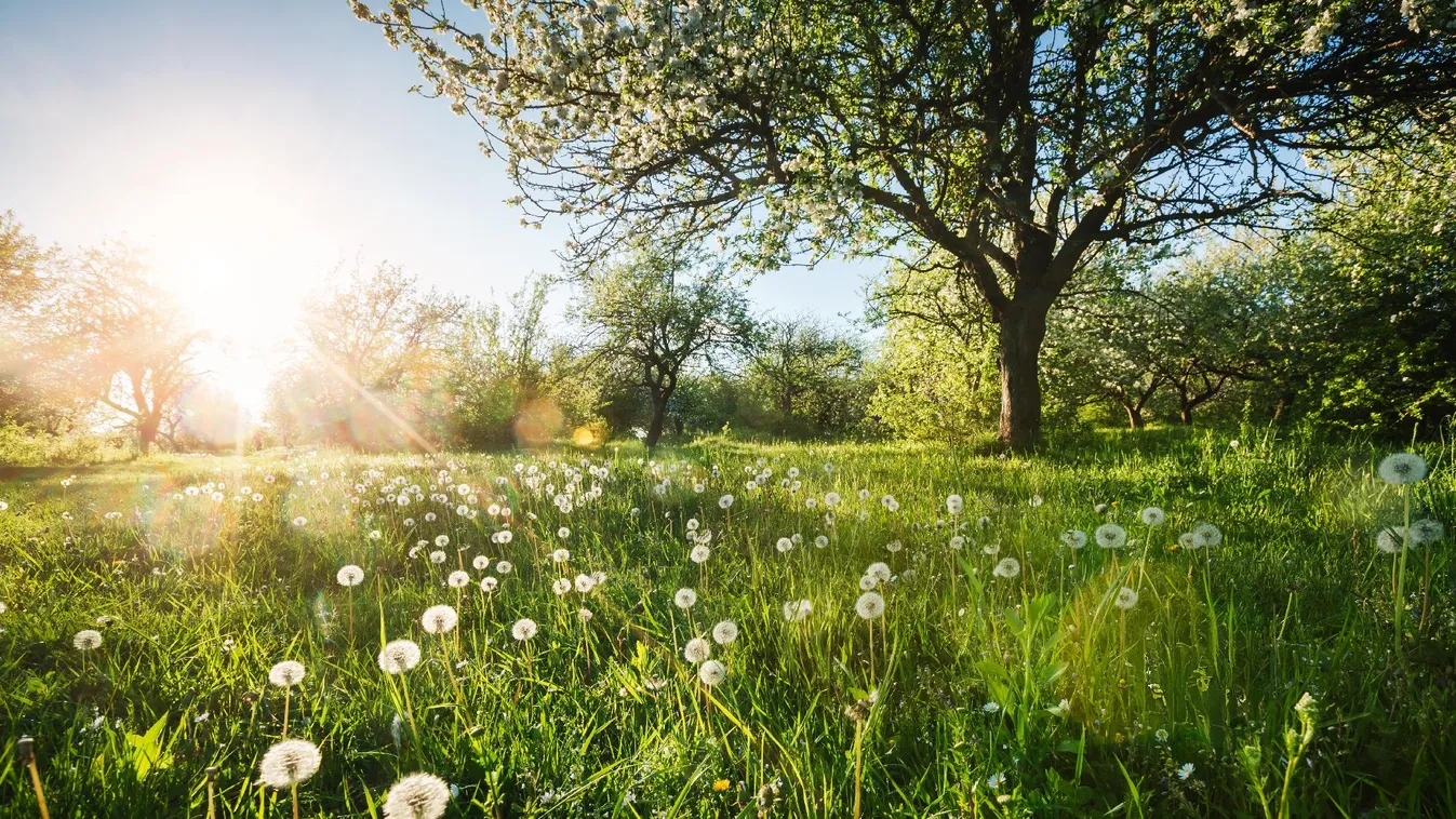 Szelet és 20 fok feletti hőmérsékletet tartogat a mai nap