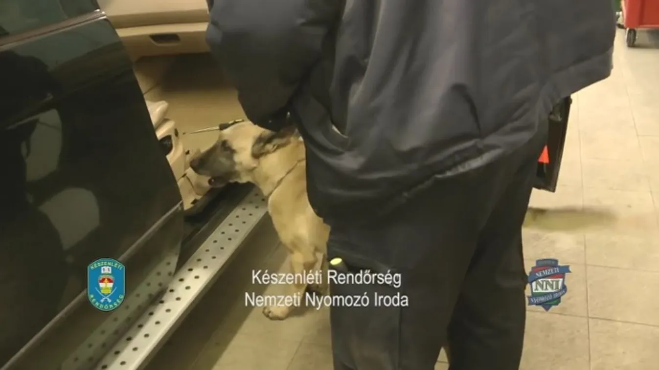 140 milliós drogfogás Röszkén