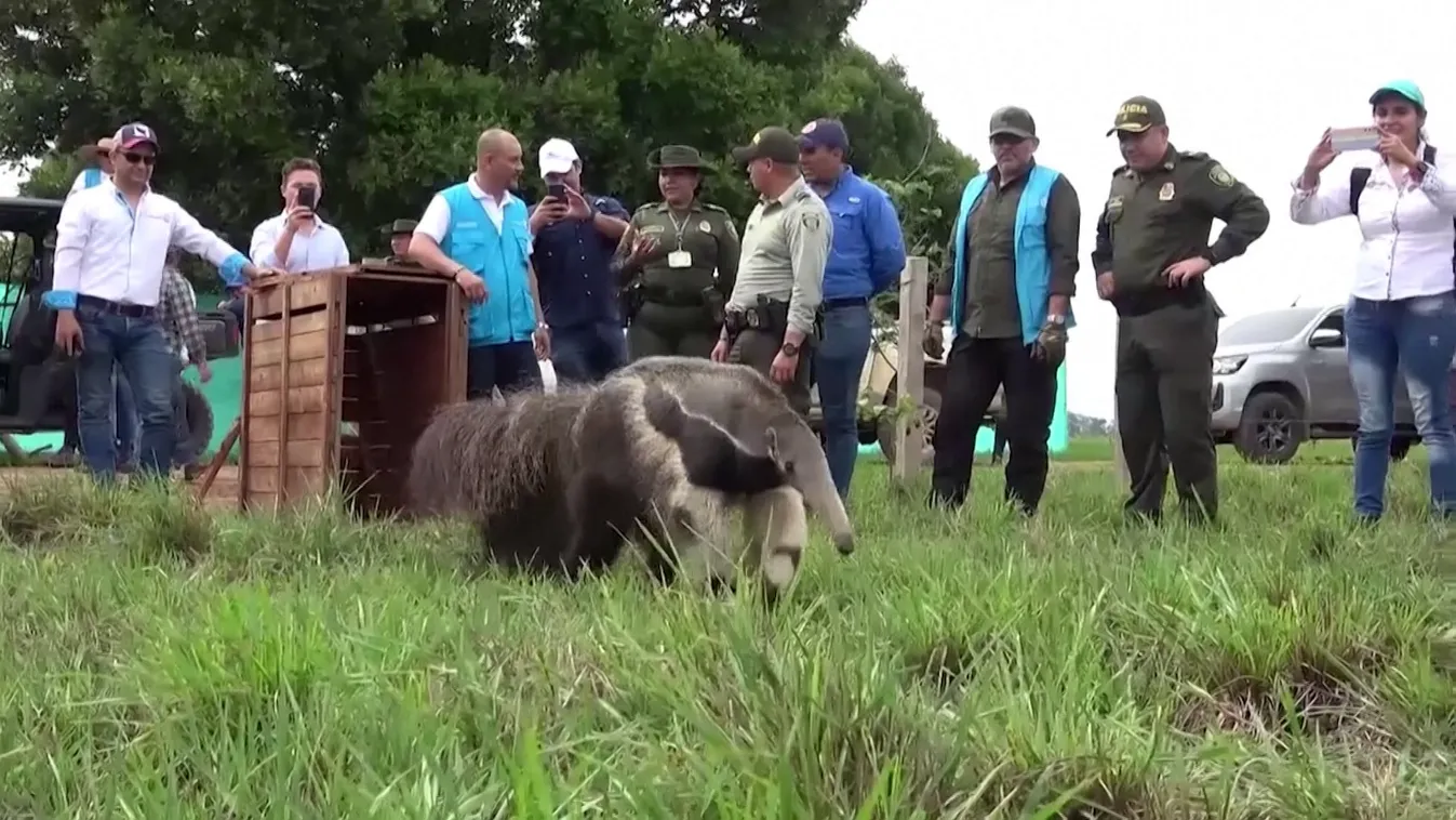 Radar: Hírek az állatvilágból