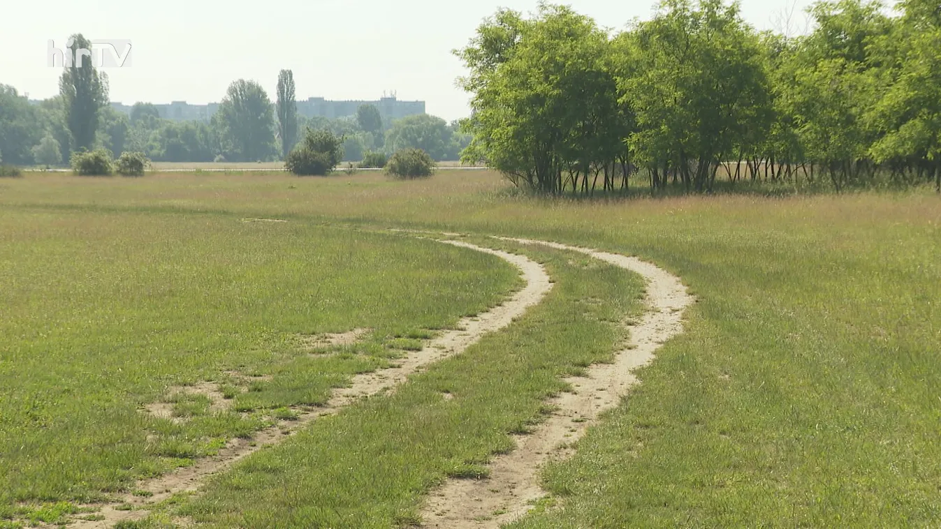 Karácsony Gergely hatalmas zöld területet építtetne be Budapesten