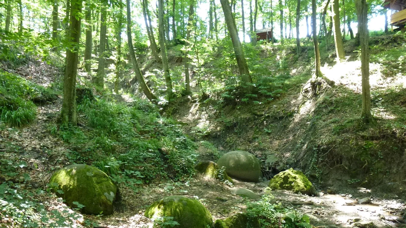 Meghalt a vadász, aki aknára lépett