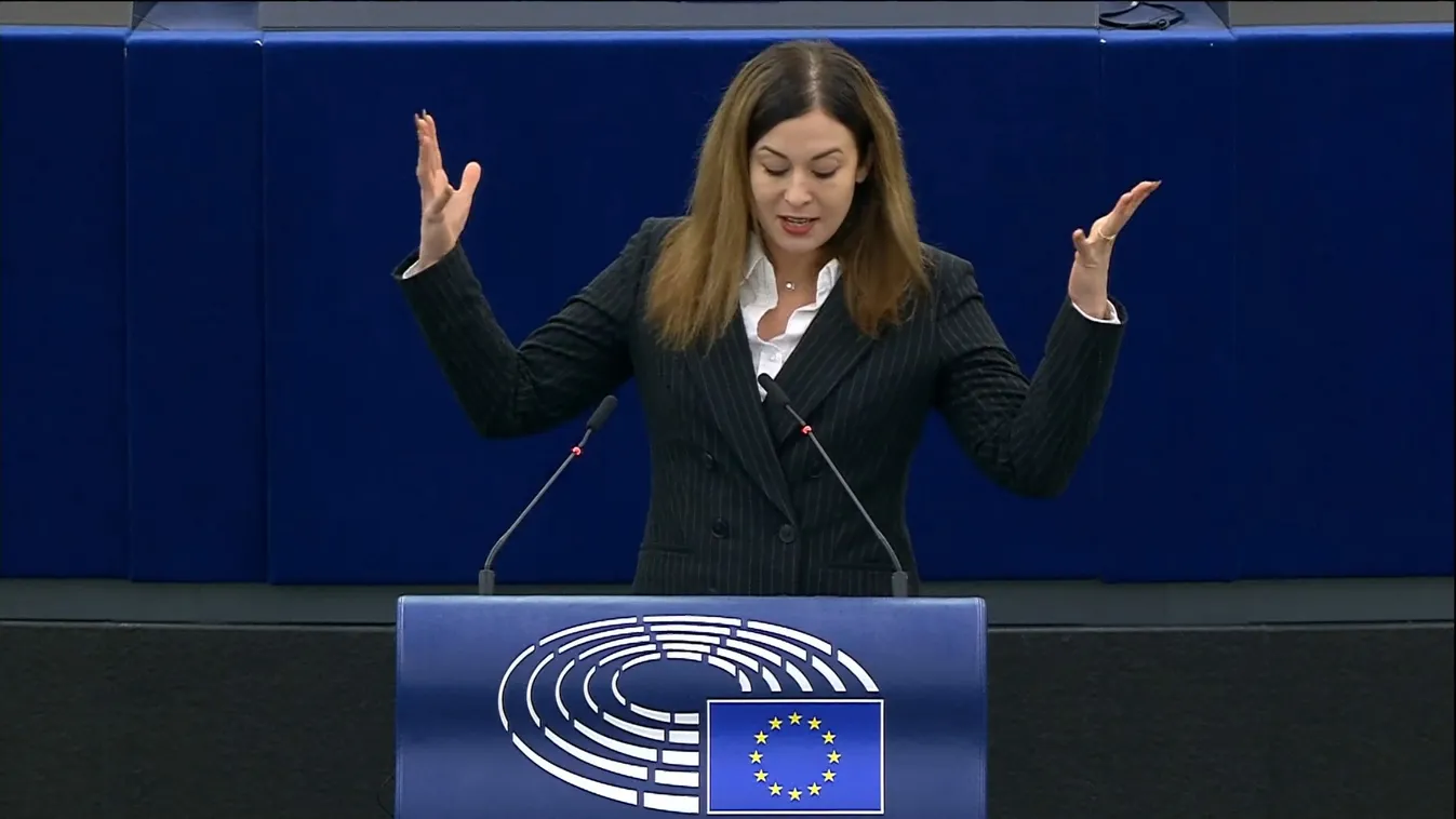 Hölvényi György: Magyarellenességből akarnak politikai karriert építeni a hazai balliberális politikusok + videó