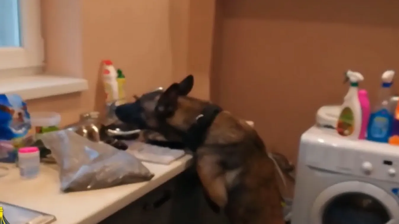 Radar - Levélben érkezett a kábítószer + videó