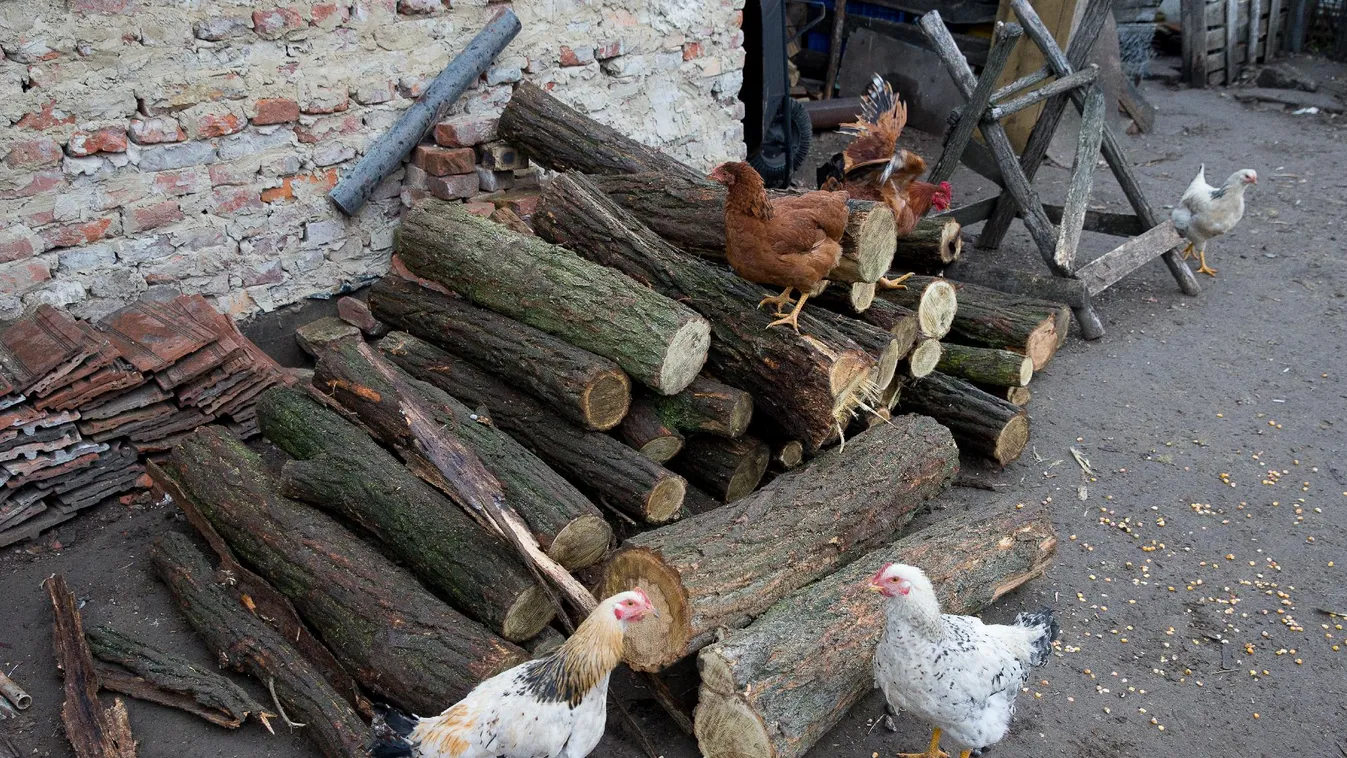 Rezsicsökkentés: a polgármester nem érti miért kell kérvényt benyújtani