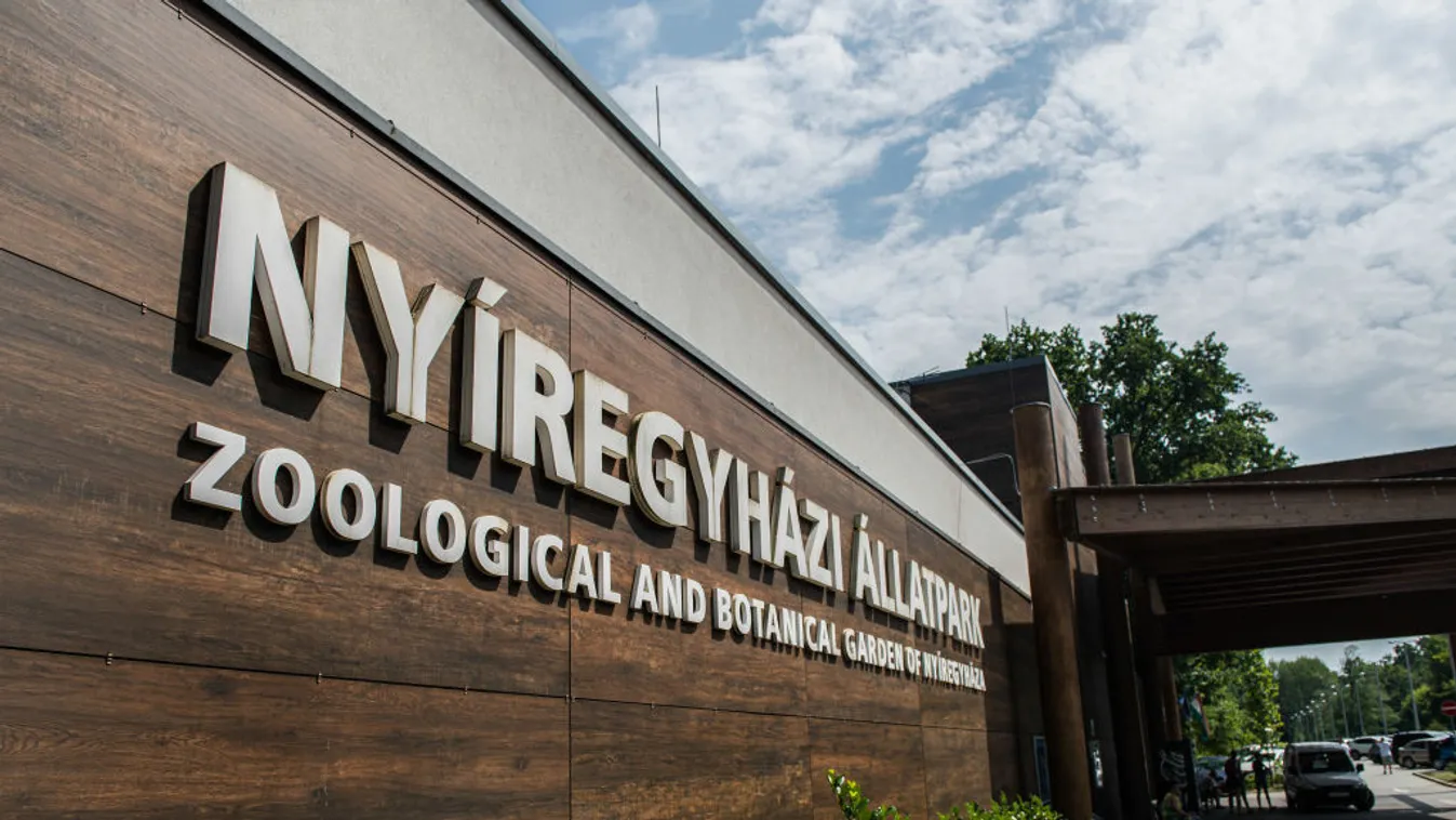 Remek évet zár a Nyíregyházi Állatpark