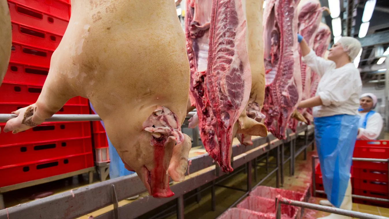 A hal, a sertéshús és az internet áfája is csökken