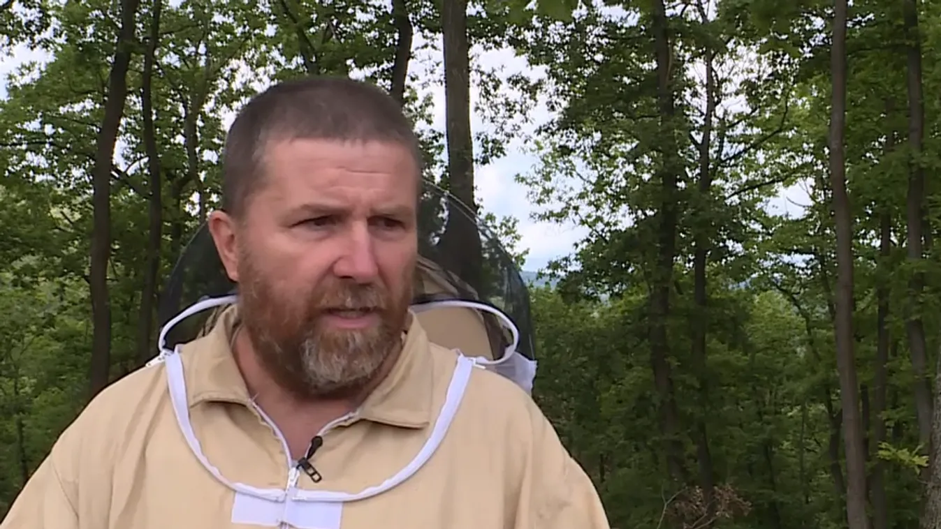 Radar – Gyenge méztermésre panaszkodnak a méhészek