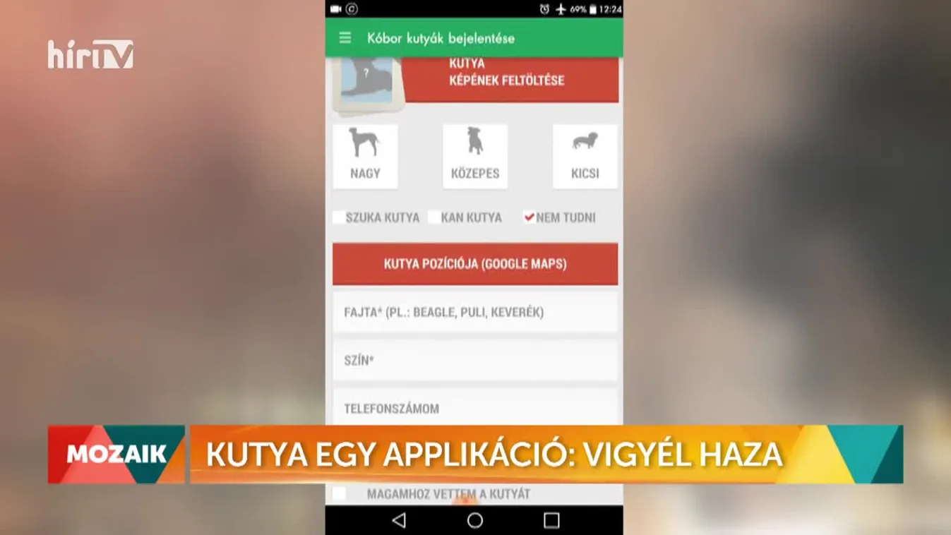 Mozaik - Kutya egy applikáció: Vigyél haza