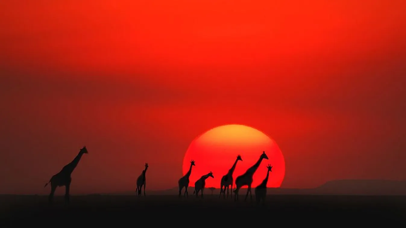 Kenya páratlan élővilága – BBC Travel Show