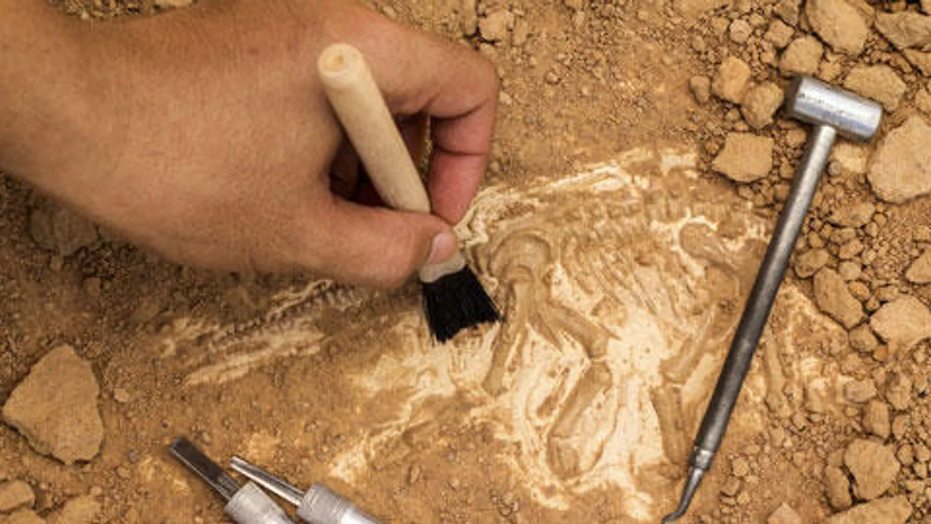 Bronzkori és Árpád-kori leleteket találtak a régészek Baja határában