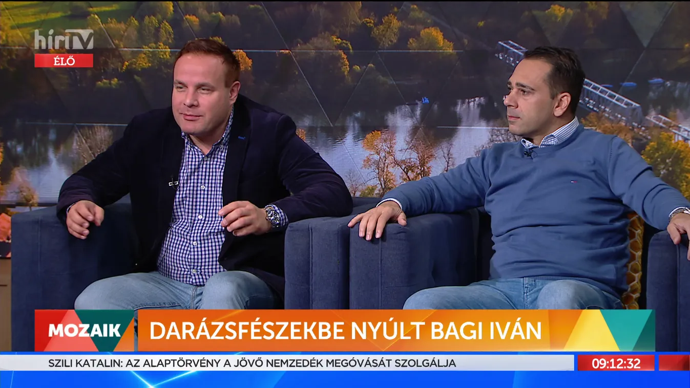 Mozaik: Darázsfészekbe nyúlt Bagi Iván